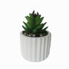 VASO CEMENTO CON PIANTA D.7,5 H.12