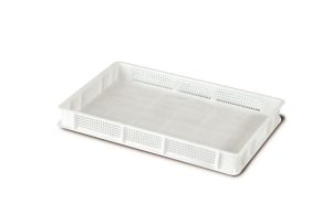 119_0284_1 CASSETTA PER PIZZA SERVICE 60X40X7 FORATA - POLIETILENE GIGANPLAST