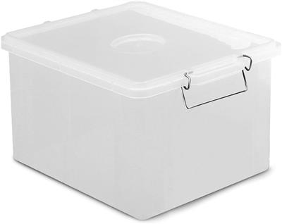 119_0290_1 CASSETTA BOX CON COPERCHIO 35X25X20 TRASPARENTE GIGANPLAST